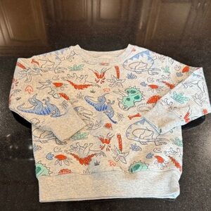 Dinosaur Print Kids fleece Sweatshirt